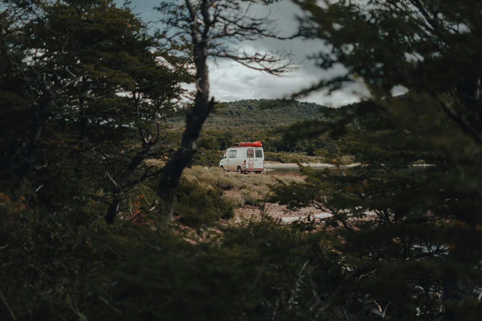 Camper Van in grüner Waldlandschaft – Entscheidung zwischen Kauf und Individualausbau